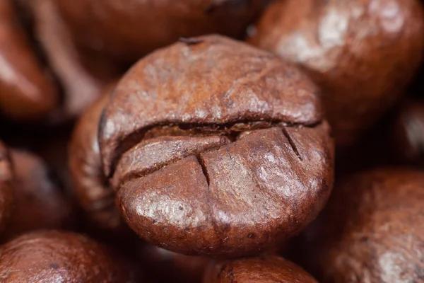 Coffee bean macro — Stock Photo, Image