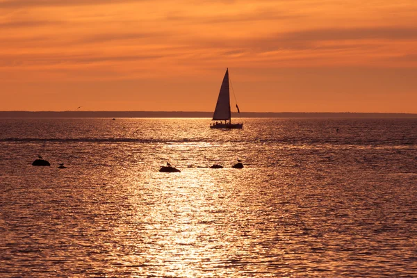 Yachts near the island — Stock Photo, Image