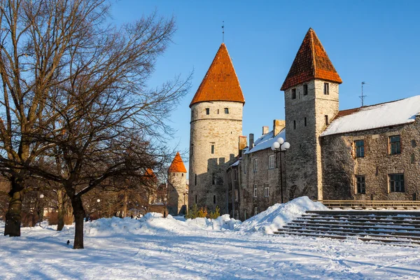 Tallinn-Stadt. Estland. — Stockfoto