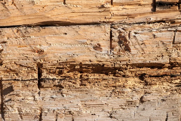 Fondo de textura de pared de madera vieja — Foto de Stock