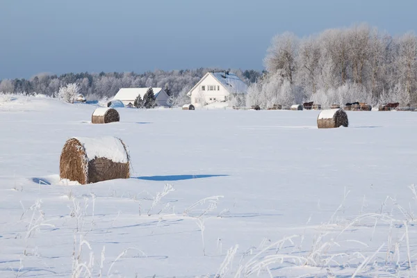 Granja con granero y caballos en invierno —  Fotos de Stock