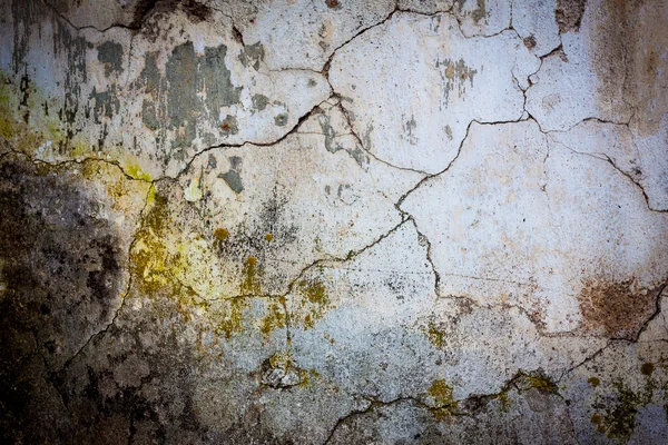 지저분한 벽 질감 배경 — 스톡 사진