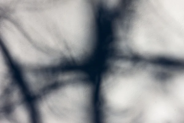 Sombra de árvore na parede branca — Fotografia de Stock