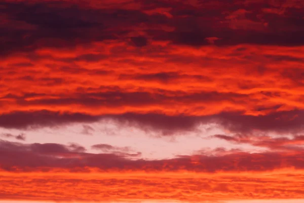 明亮充满活力的夕阳的天空 — 图库照片