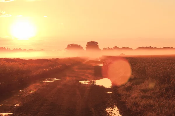 Magic fog over rural farm road