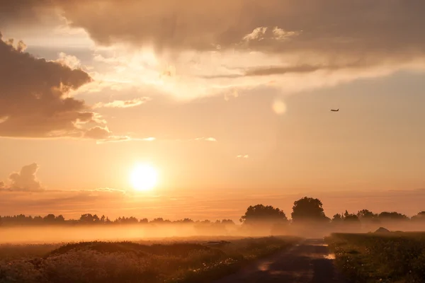 Vliegtuig over landelijke weg in de mist — Stockfoto