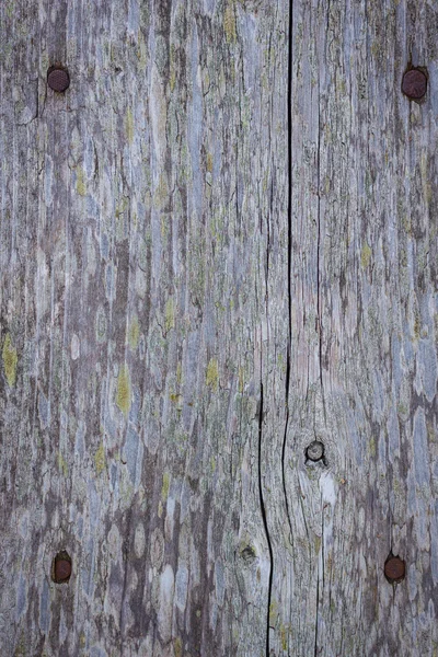 Plank of old wood — Stock Photo, Image