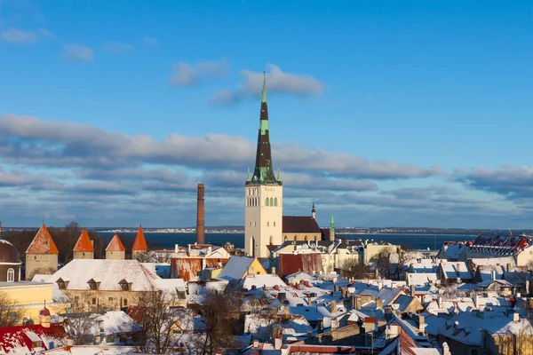 Panoramisch uitzicht over Tallinn winter — Stockfoto