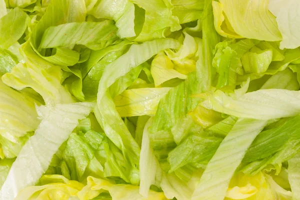 Textury listů salátu — Stock fotografie