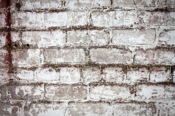 Brick white dirty wall background — Stock Photo, Image
