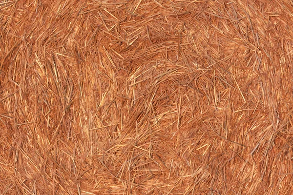 Round bale of straw in the meadow — Stock Photo, Image