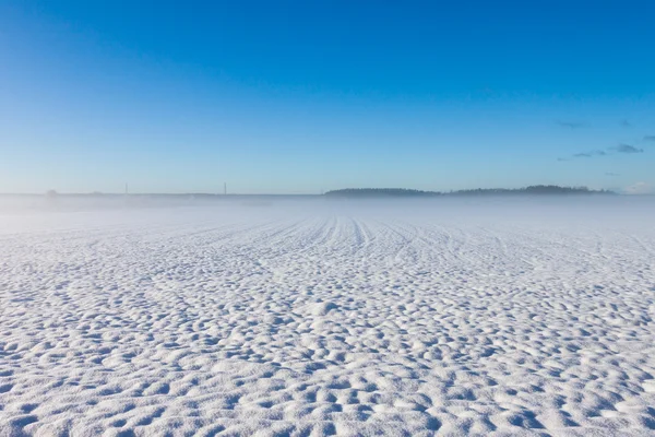 Winter foggy field under snow — Stok fotoğraf