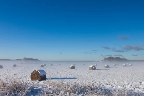 Balles fourragères de paille en hiver — Photo