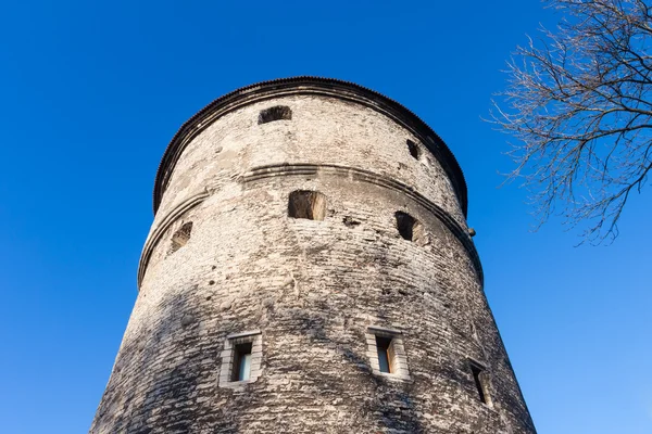 Vista de inverno de torres de fortaleza Tallinn. Estónia — Fotografia de Stock