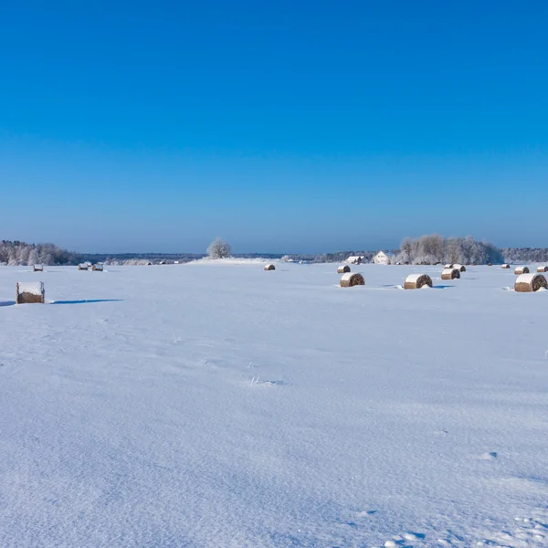 Boerderij met een schuur en paarden in de winter — Stockfoto