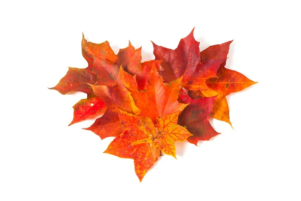 Autumn maple leaves, heart shape — Stock Photo, Image
