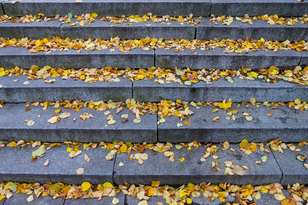 花こう岩石の階段と葉します。 — ストック写真