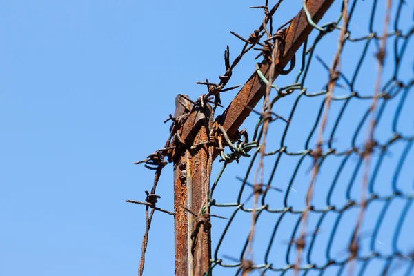 Rusty old fences of barb wire — Stock Photo, Image