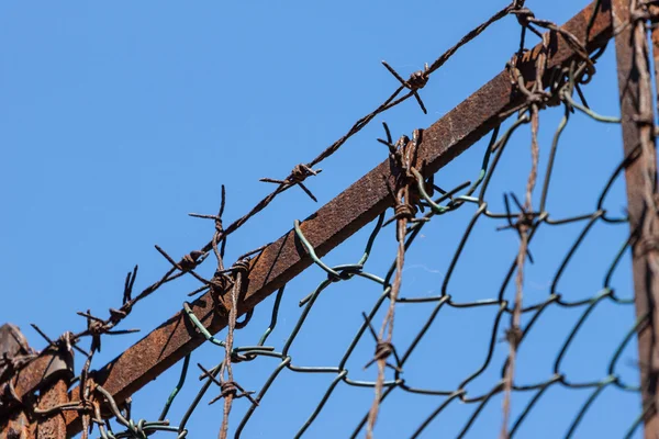 Rusty old fences of barb wire — Stock Photo, Image