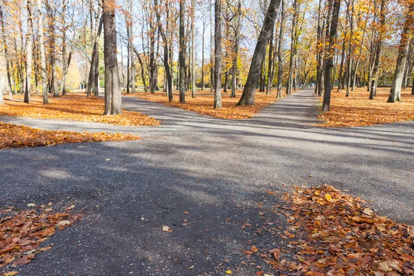 Autumn park Kadriorg, Tallinn — Stock Photo, Image