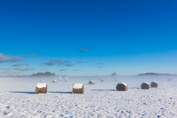 Terras agrícolas sob neve — Fotografia de Stock