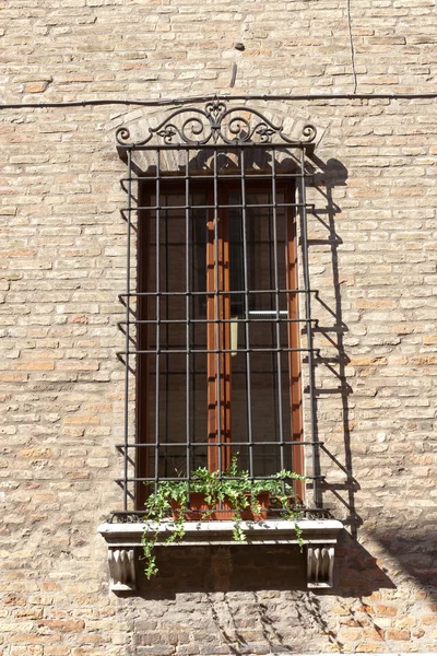 Altes und vergreistes Fenster — Stockfoto