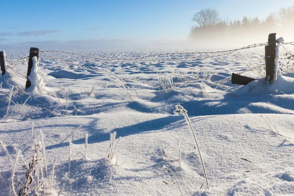 Cerca de arame farpado com chão coberto de neve — Fotografia de Stock