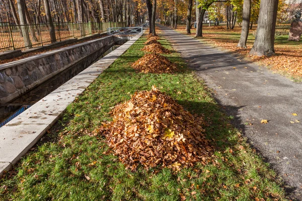 葉の山で秋の公園の路地 — ストック写真