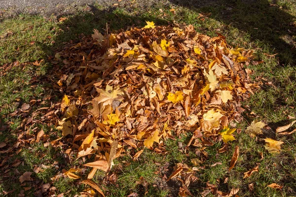 葉の山で秋の公園の路地 — ストック写真