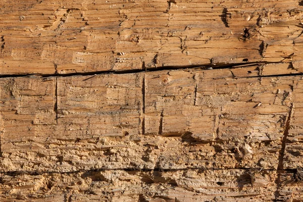 Oude houten muur textuur achtergrond — Stockfoto