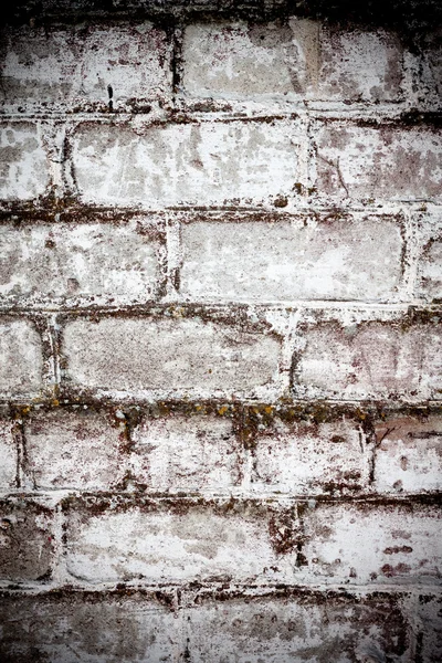 Tijolo branco sujo parede fundo — Fotografia de Stock