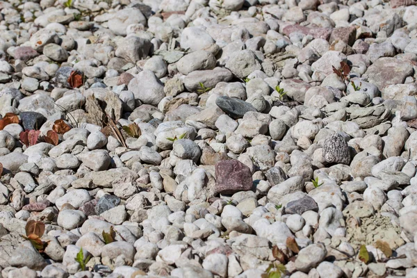 หินก้อนหิน — ภาพถ่ายสต็อก