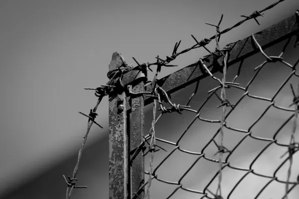 Rostiga gamla staket av barb wire — Stockfoto