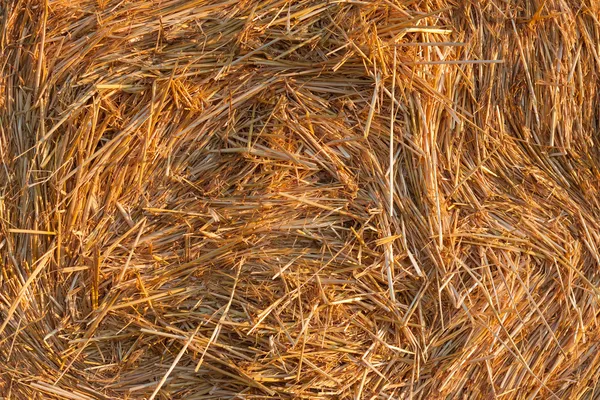 Round bale of straw background — Stock Photo, Image