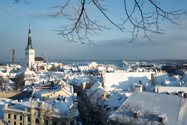 Tallinn w zimie — Zdjęcie stockowe