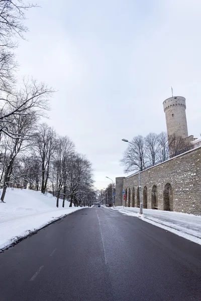 Uzun herman (pikk herman) kule, tallinn, Estonya — Stok fotoğraf