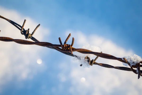 Barbed wire in the snowy meadows — Stock Photo, Image