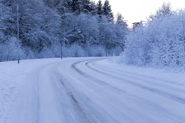 Vintern skog med vägen täckt med snö — Stockfoto