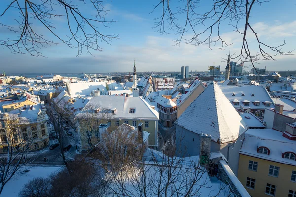 Tallinn v zimě — Stock fotografie