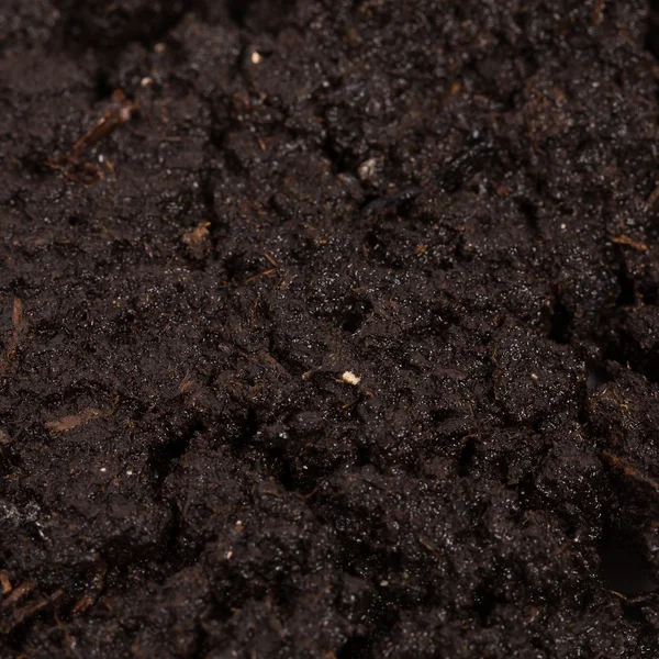 肥沃な土壌のクローズ アップの庭のベッド — ストック写真