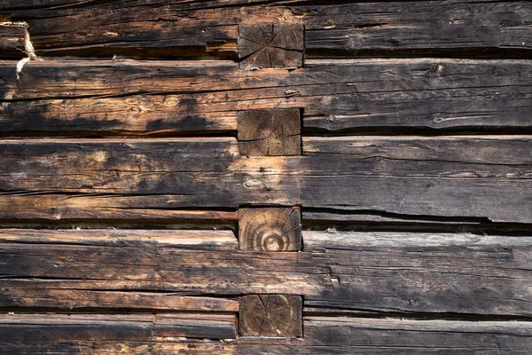 Holzwand aus Baumstämmen — Stockfoto