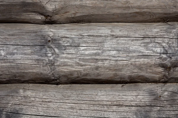 Section of old tree — Stock Photo, Image