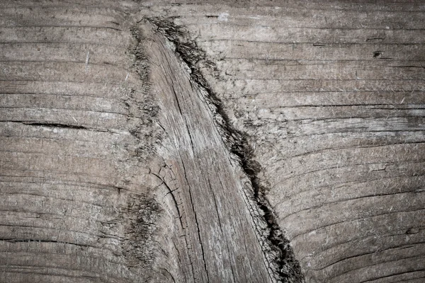 Holz Textur, Holz Hintergrund — Stockfoto