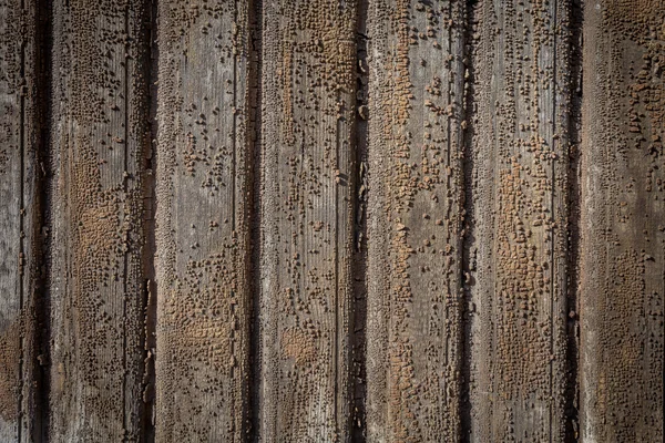 Vechi vopsit din lemn și cioplit vopsea . — Fotografie, imagine de stoc