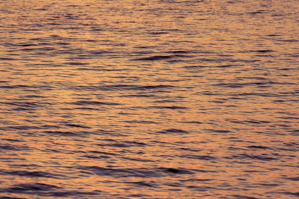 Günbatımı zamanı olarak yüzeysel su — Stok fotoğraf