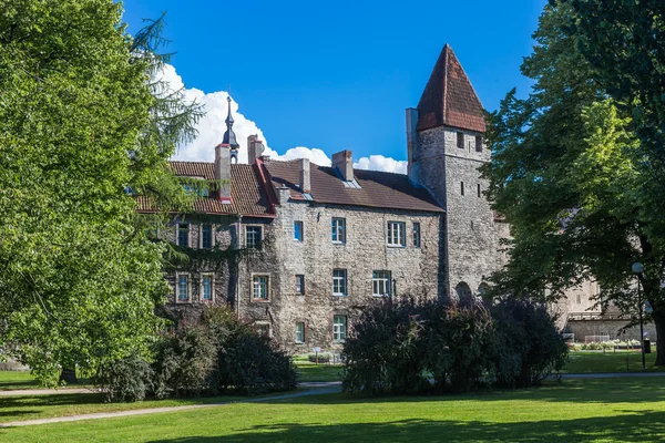 Parc dans la vieille ville, Tallinn, Estonie — Photo