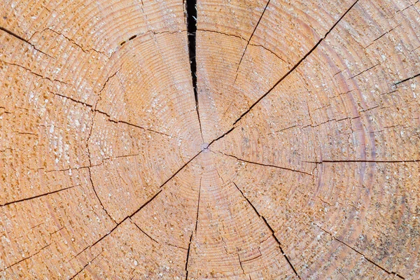 Textura de madera vieja —  Fotos de Stock