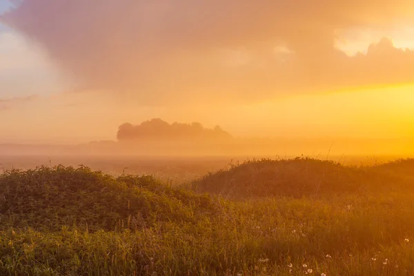 Zamlžené louky při západu slunce — Stock fotografie