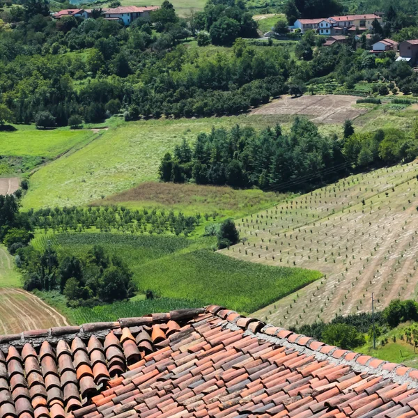 Piemont weinprovinz, italien — Stockfoto