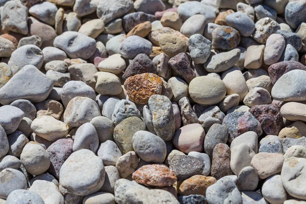 Plage fond de pierre — Photo